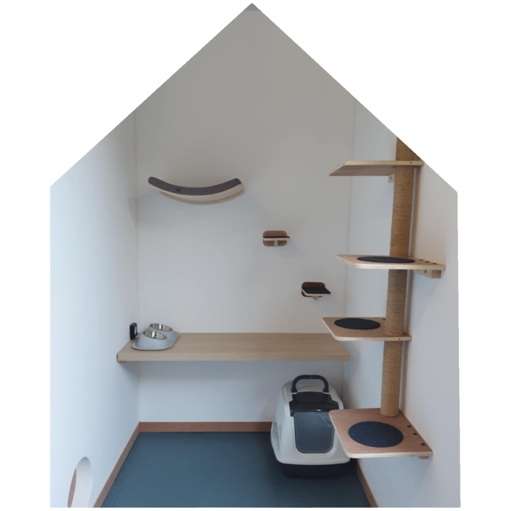 hotel chatelier séjour confort pour chats