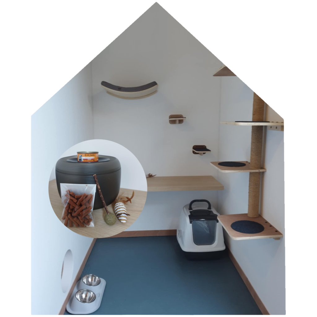 hotel chatelier séjour d'exception pour chats