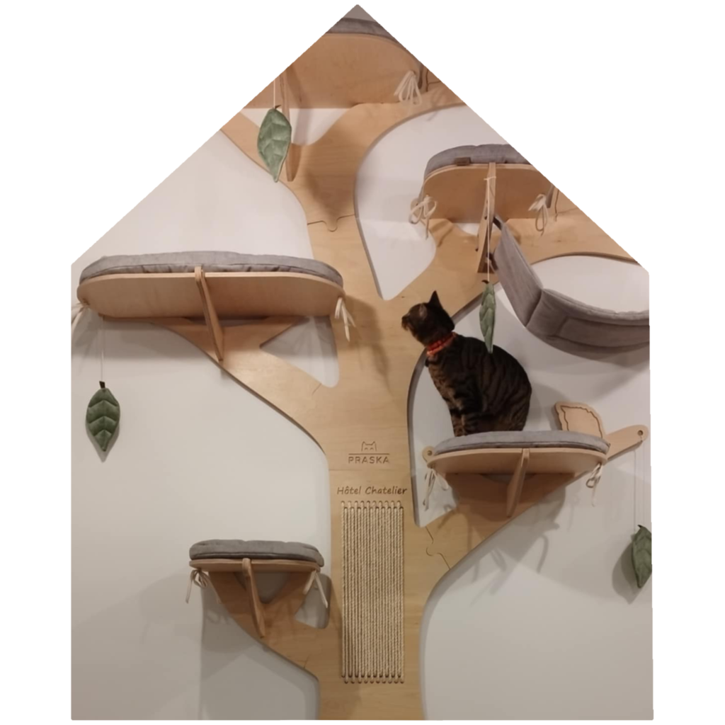 hotel chatelier séjour journalier pour chats
