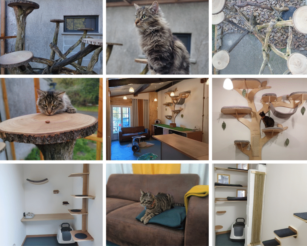 Extérieur sécurisé, espace collectif, chambre individuelle et familiale