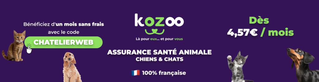 Kozoo assurance chat et chien